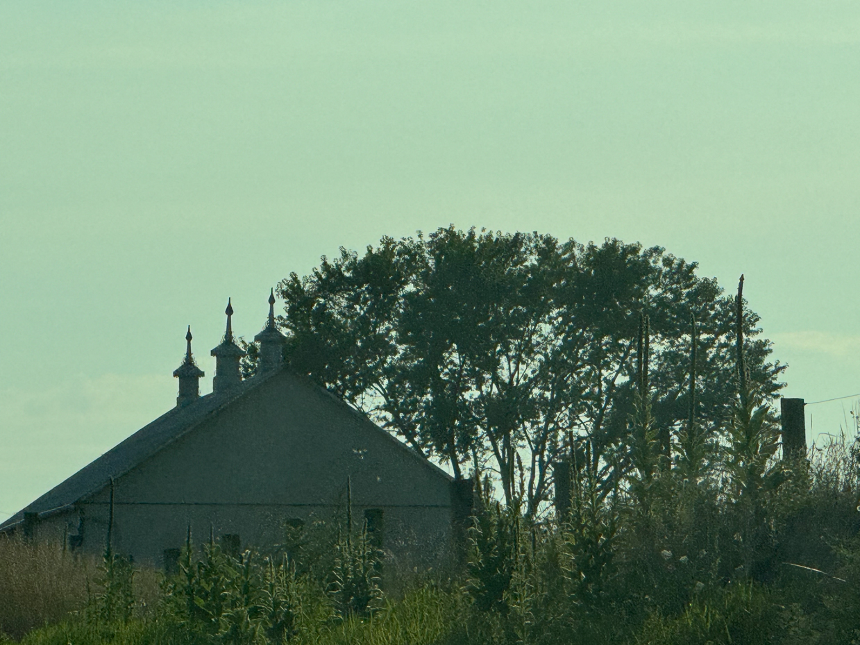 silhouette-of-a-barn-with-distinctive-cupolas-and-tall-trees-in-the-background-at-dusk