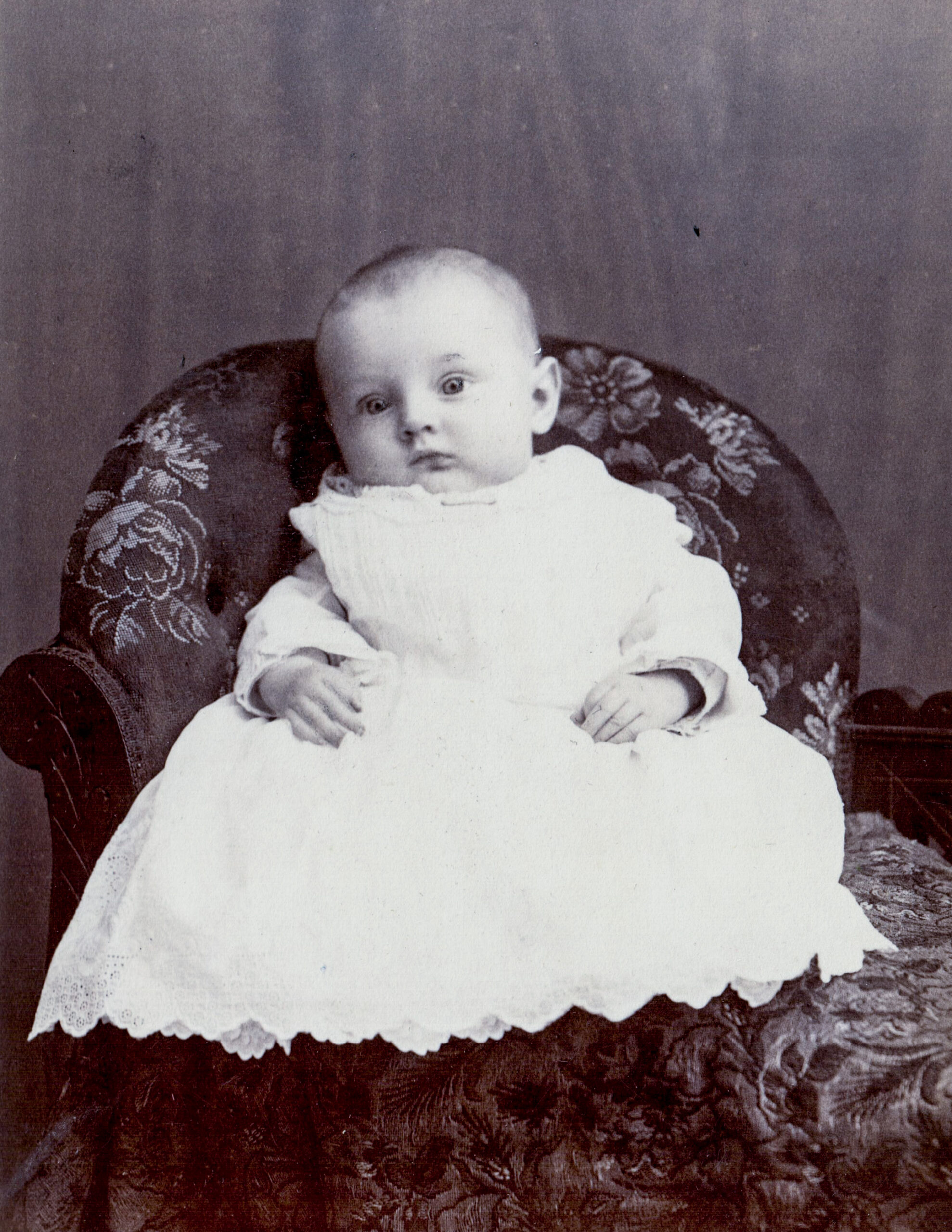 portrait of baby infant artist reference photo