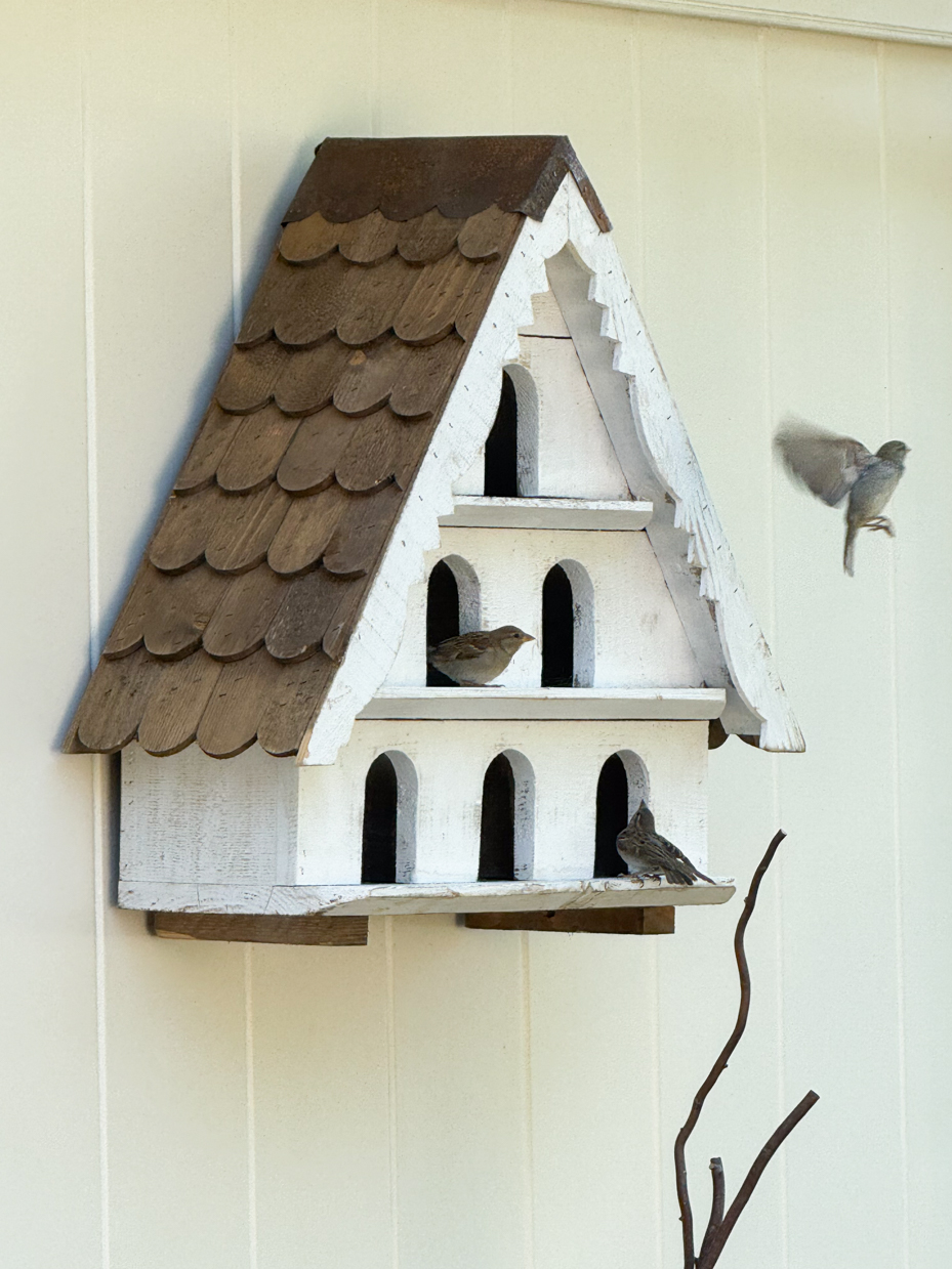 birdhouse-with-sparrows-in-flight-and-perched-rustic-bird-sanctuary-royalty-free-reference-photo