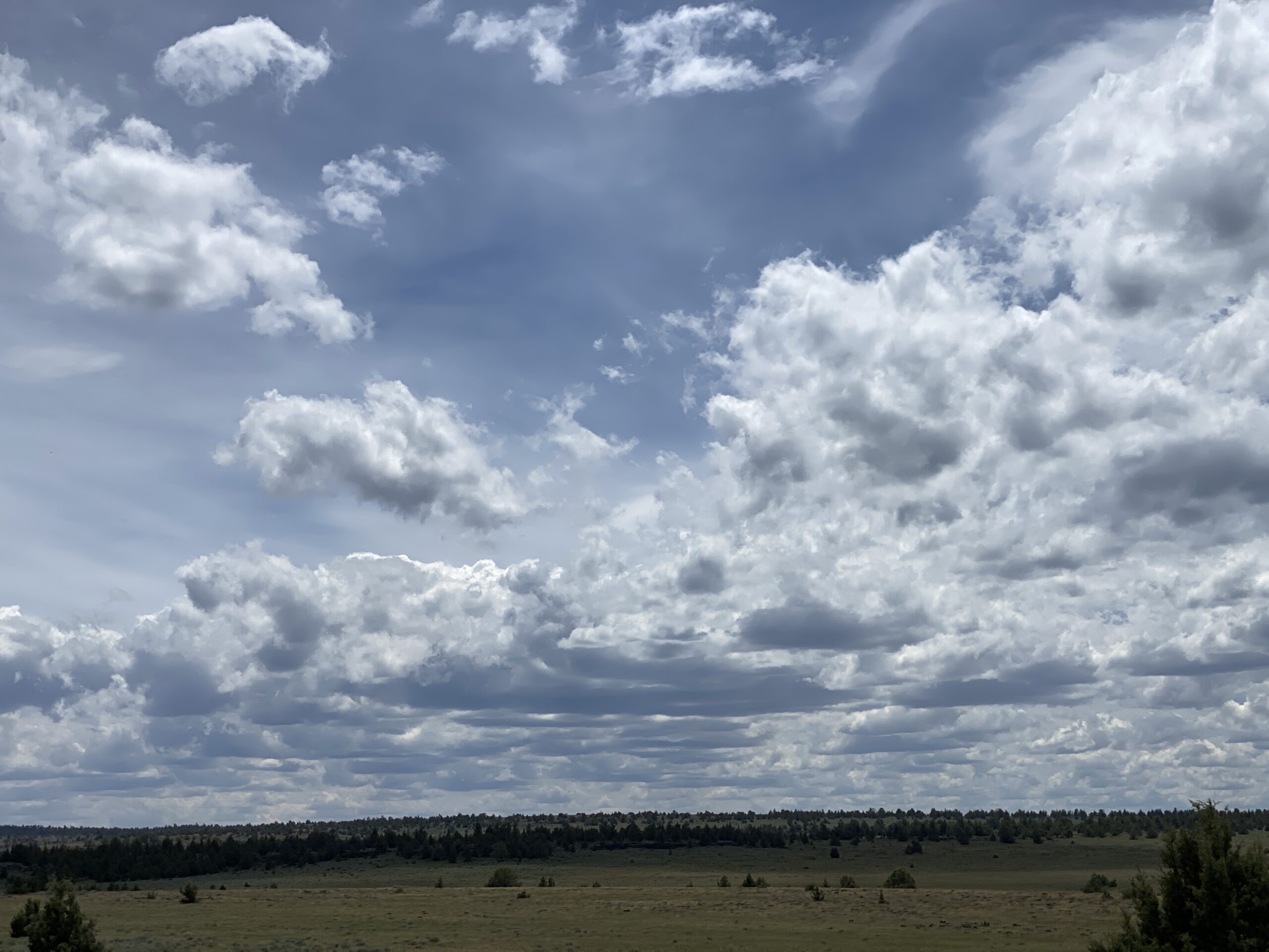 Expansive Sky with Fluffy Clouds Over Rolling Prairie artist reference photo