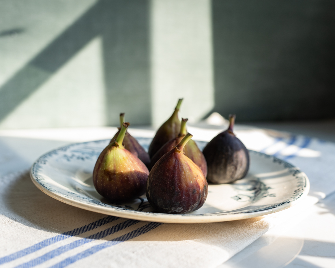 fresh-figs-on-decorative-plate-with-window-light-still-life-reference