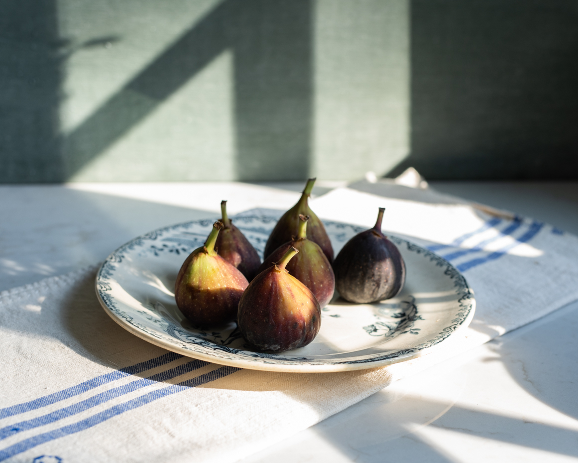 fresh-figs-on-patterned-plate-in-sunlight-artist-reference