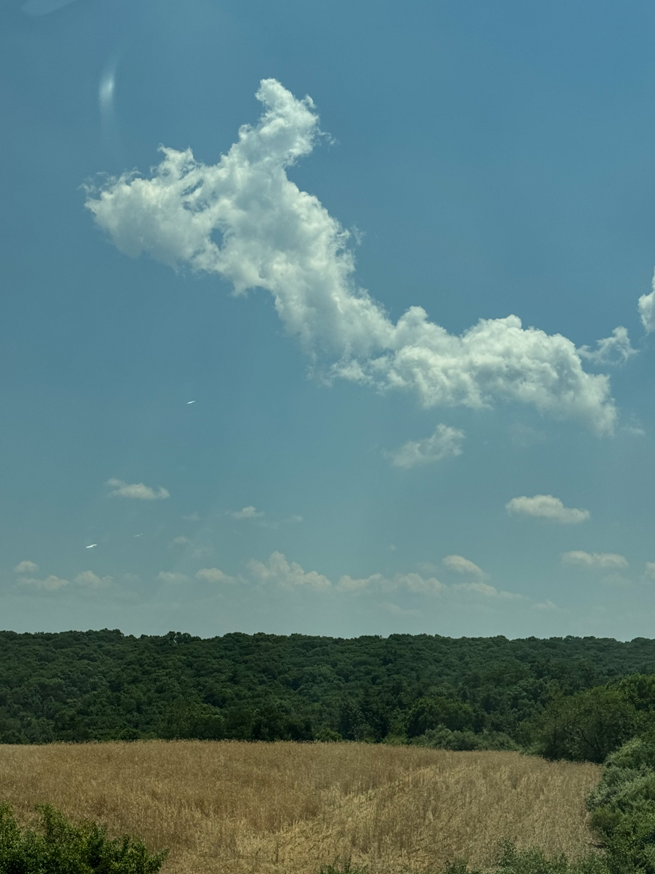 golden-field-and-forest-under-blue-sky-with-puffy-clouds-scenic-nature-view-royalty-free-reference-photo