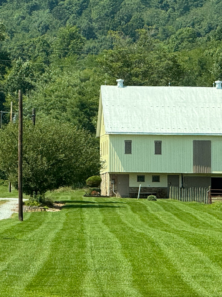 green-barn-with-well-manicured-lawn-and-forested-hillside-rural-scene