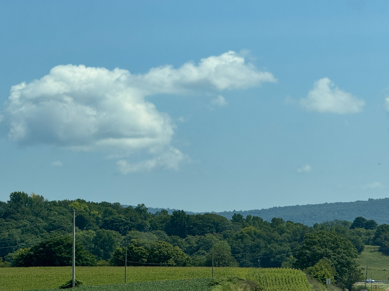 green-farmland-with-lush-trees-and-fluffy-clouds-on-a-sunny-day