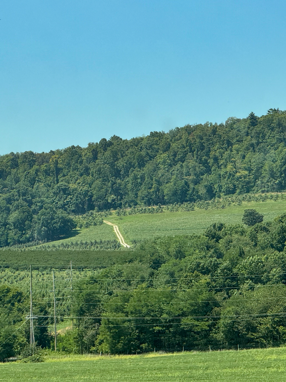 hilly-farmland-with-tree-covered-ridge-and-winding-dirt-road