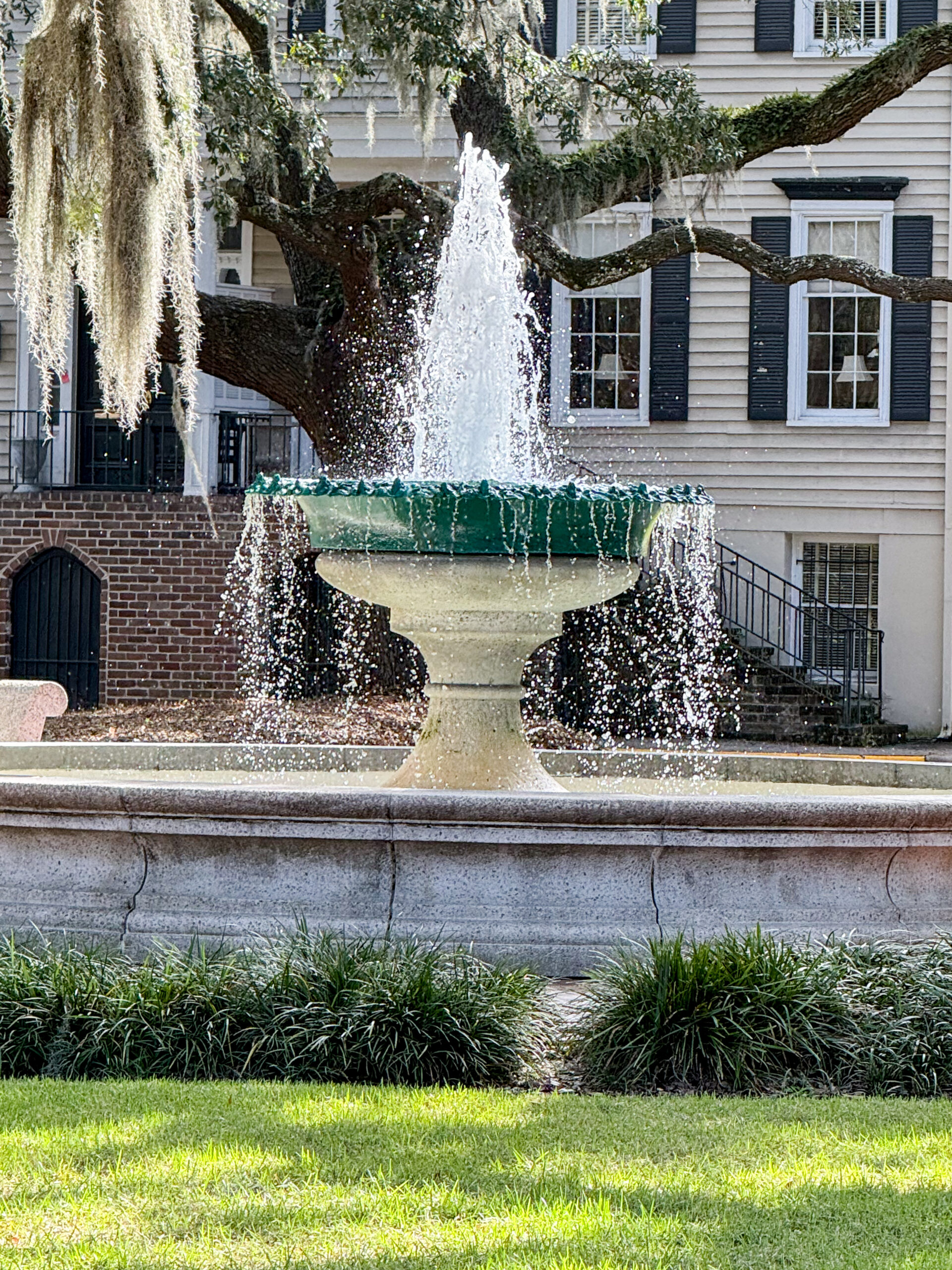 Savannah Fountain artist reference photo