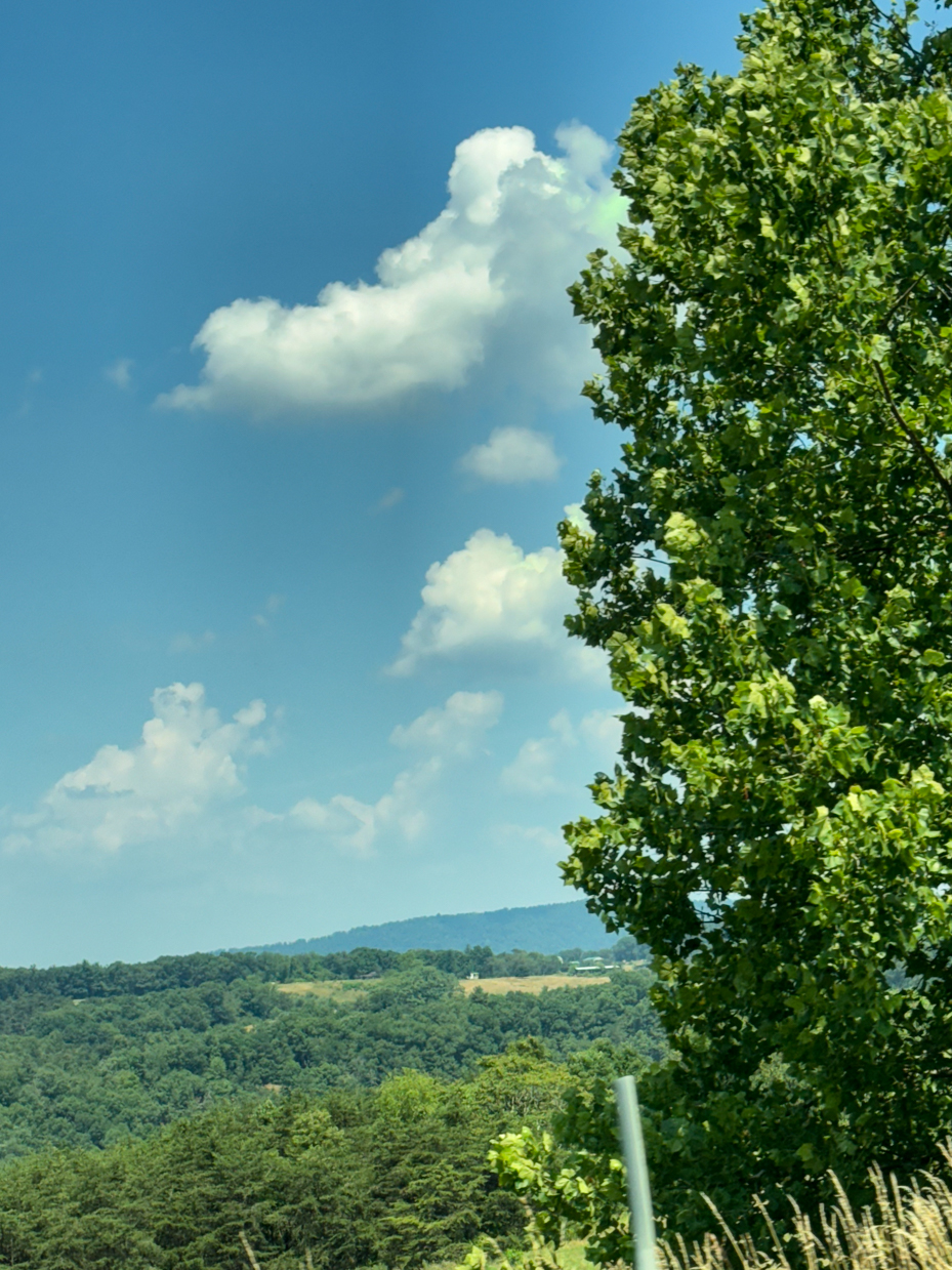 lush-green-hills-and-trees-under-clear-blue-sky-with-white-clouds-nature-landscape-royalty-free-reference-photo