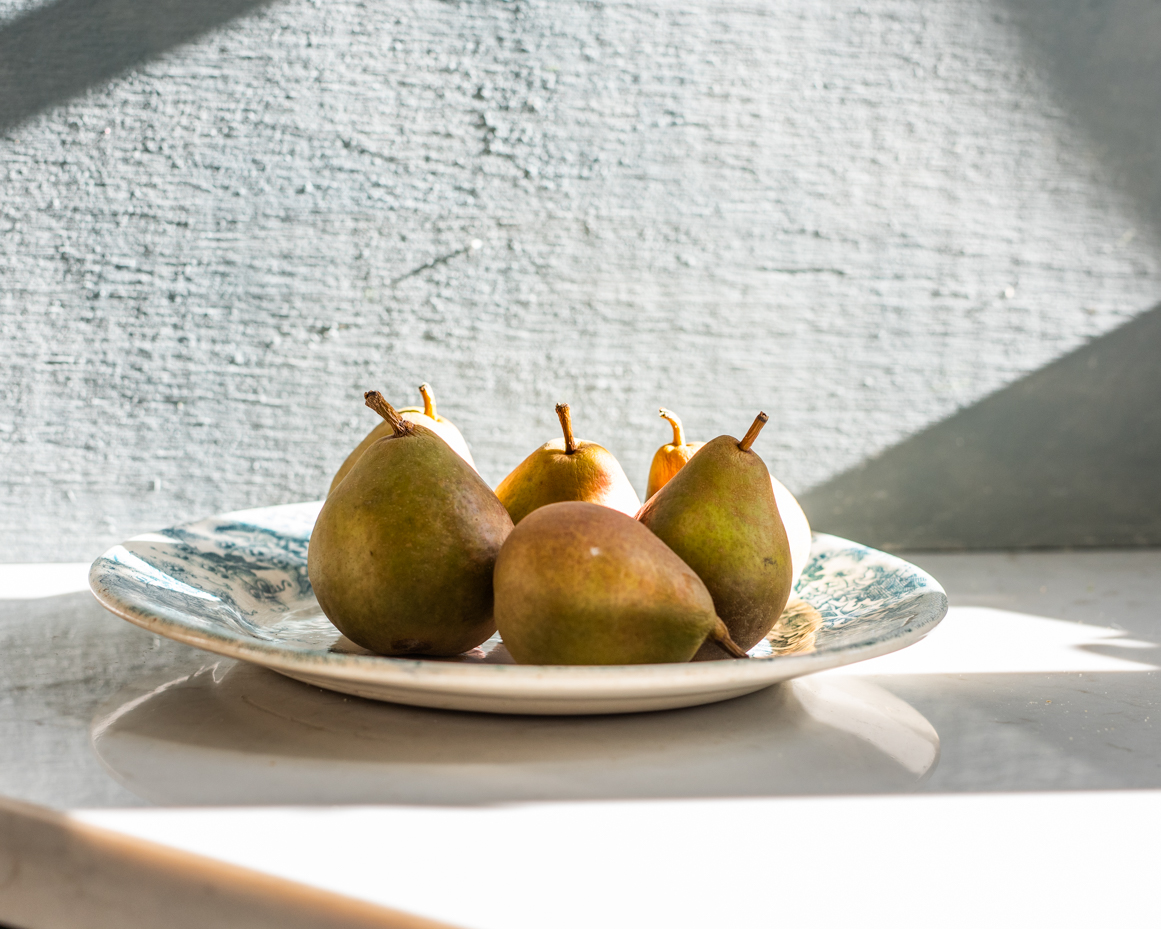 ripe-pears-on-decorative-plate-in-bright-sunlight-artist-reference-photo