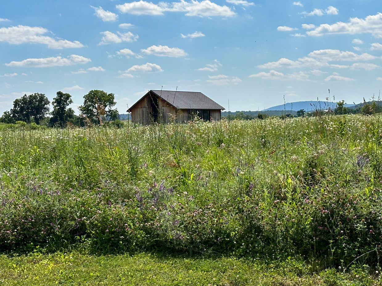 rural-barn-wildflower-meadow-summer-landscape-countryside-scene-blue-sky-white-clouds-rolling-hills-pastoral-setting