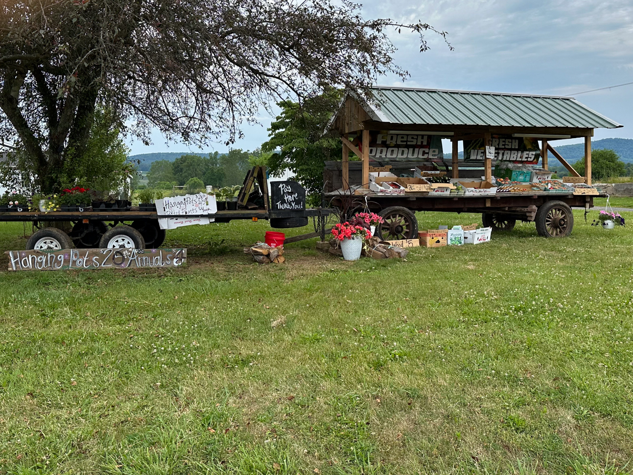 rural-farm-stand-fresh-produce-rustic-wagons-countryside