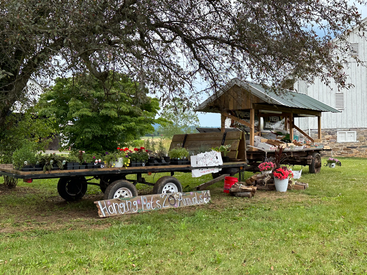 rustic-farm-stand-flowers-produce-wagons-barn-trees-countryside