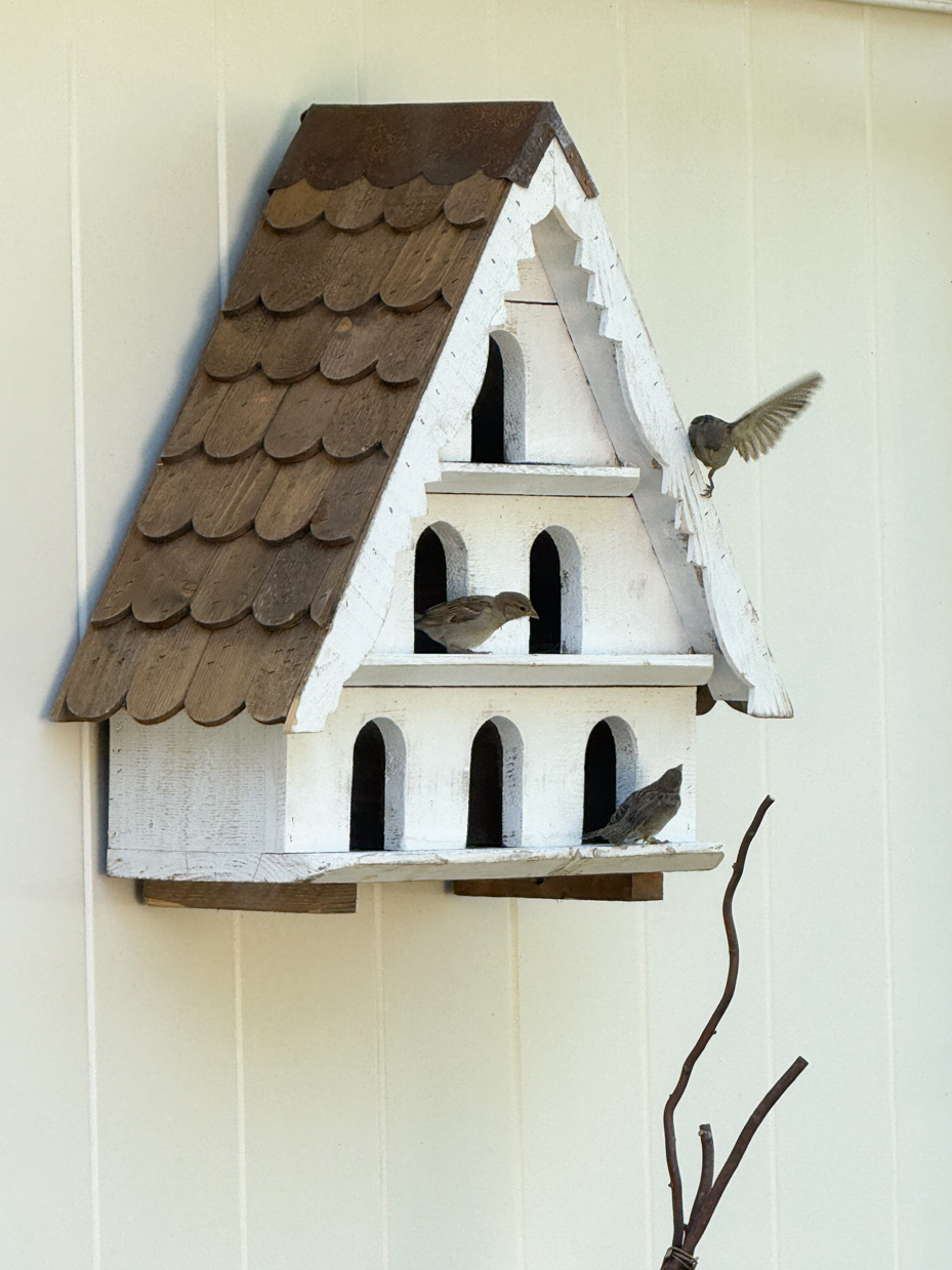 sparrows-on-a-vintage-birdhouse-a-rustic-backyard-haven-for-birds-royalty-free-reference-photo