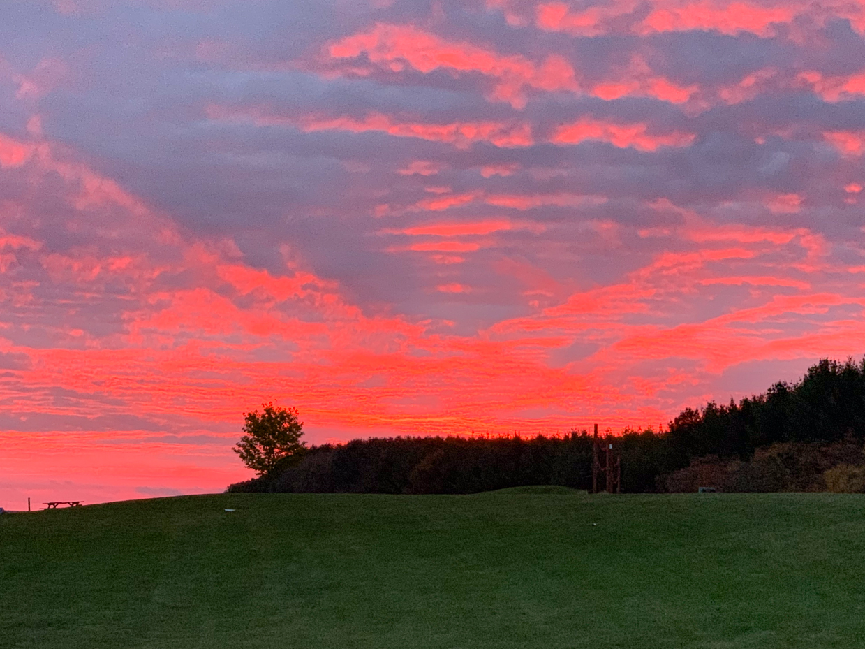 stunning-sunset-with-pink-and-red-sky-over-green-field-vibrant-rural-landscape-royalty-free-reference-photo