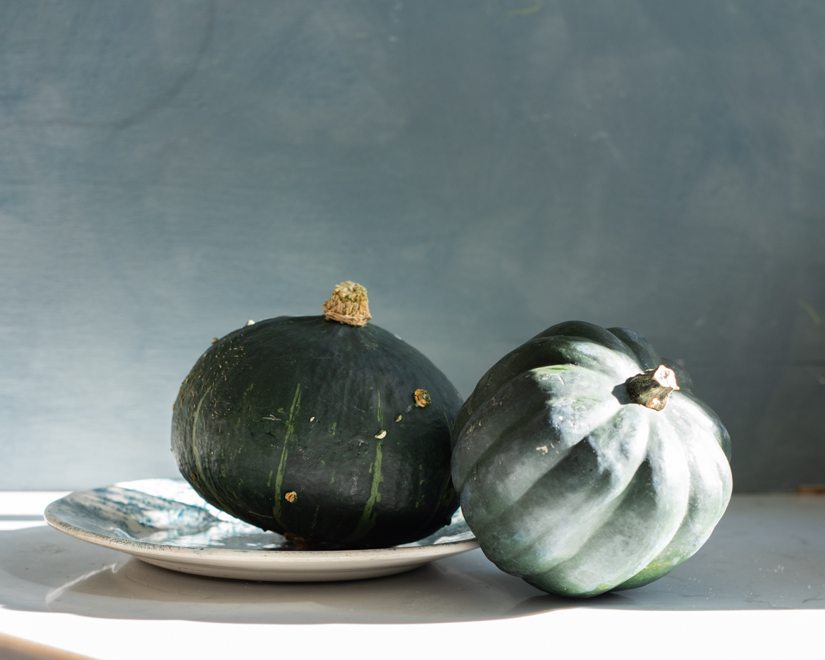 two-green-gourds-on-ceramic-plate-with-soft-light-artist-reference-photo