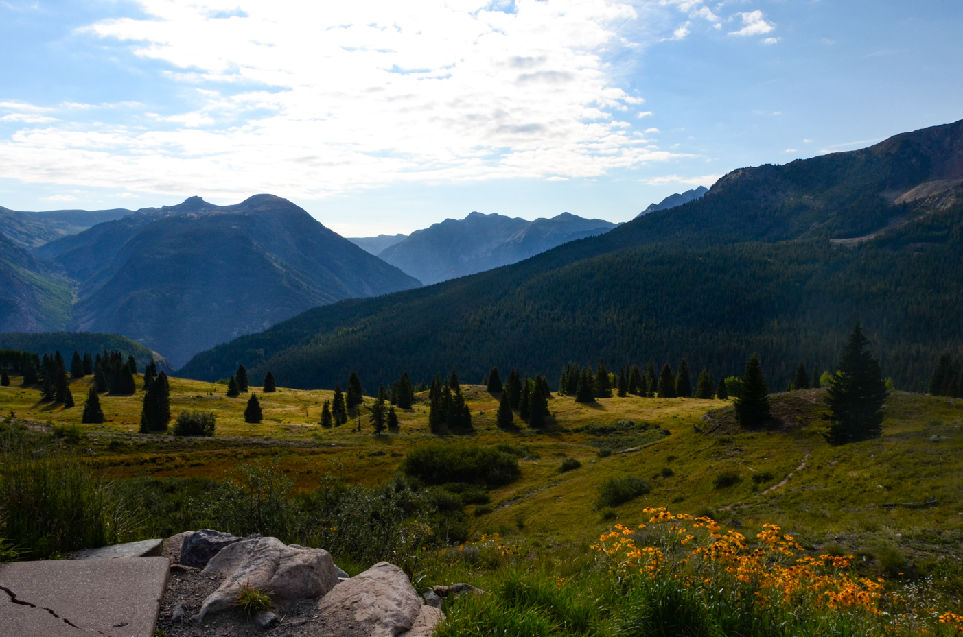 alpine-meadow-with-wildflowers-and-evergreen-forest-below-rugged-peaks-royalty-free-photo