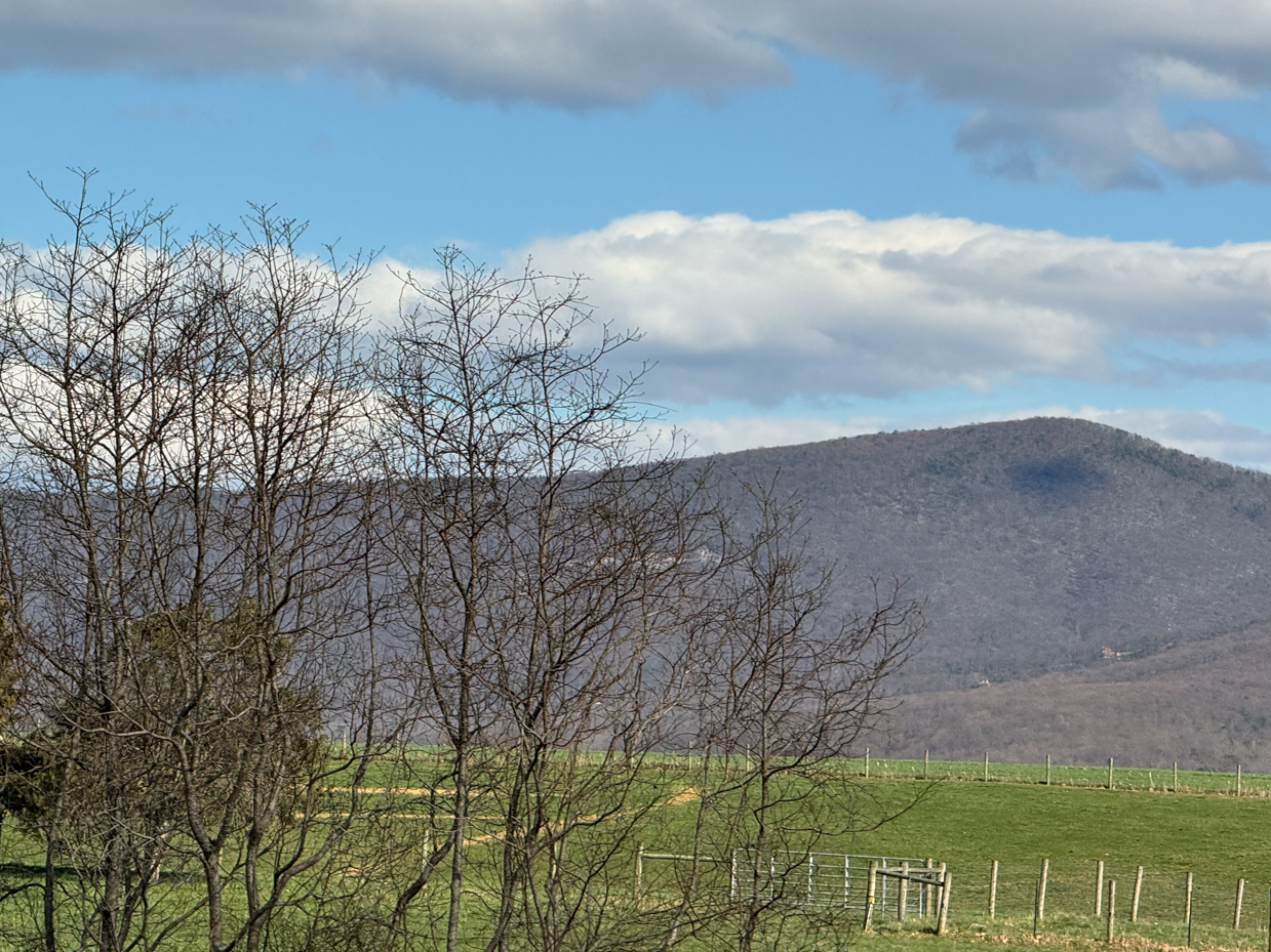 bare-trees-silhouetted-against-distant-mountains-and-green-meadow-under-cloudy-sky-rural-scenic-overlook-royalty-free-photo