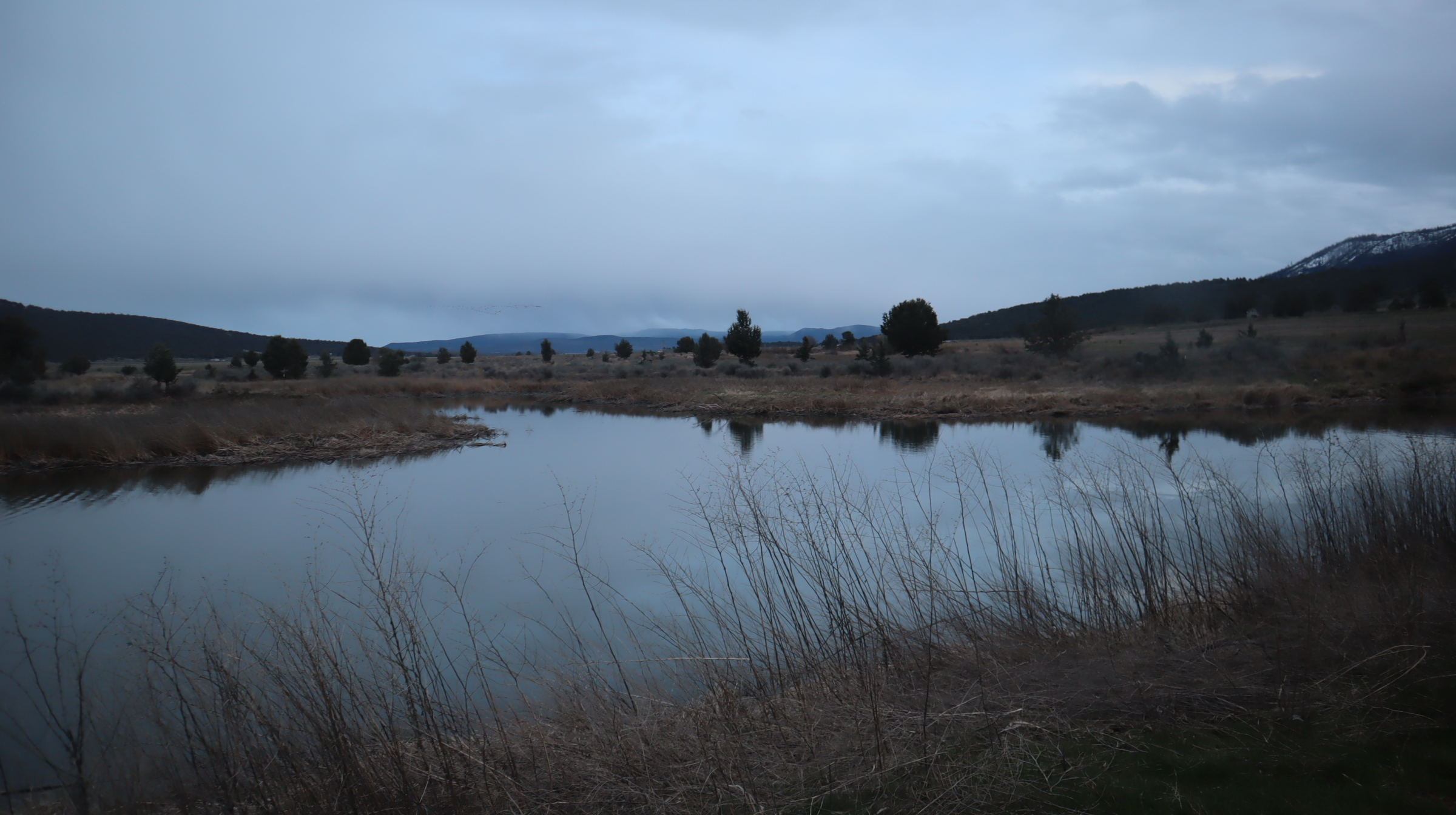 calm lake at dusk with mountain and tree reflections artist reference photo