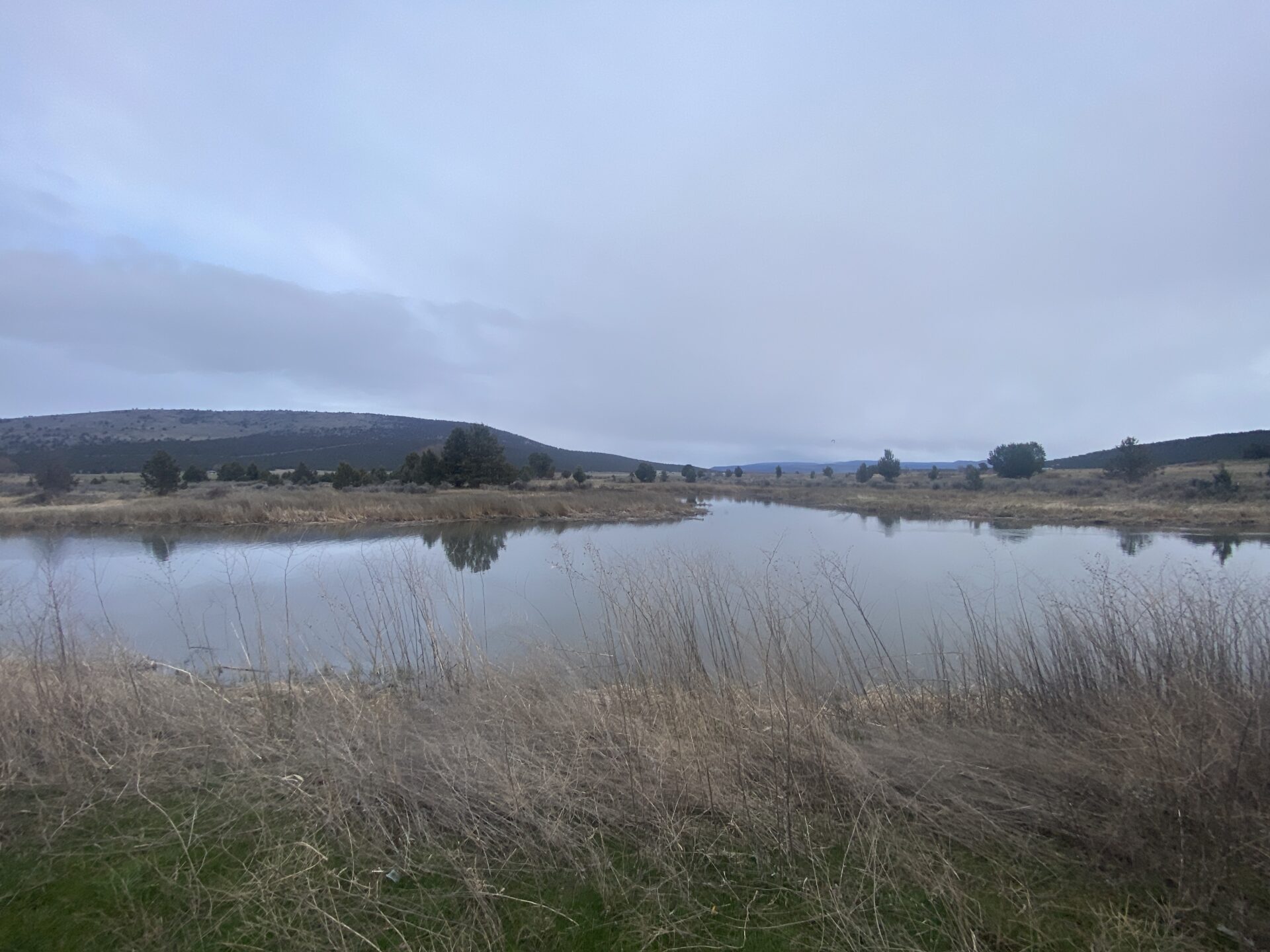 calm-lake-with-reflections-under-cloudy-sky-in-quiet-rural-landscape