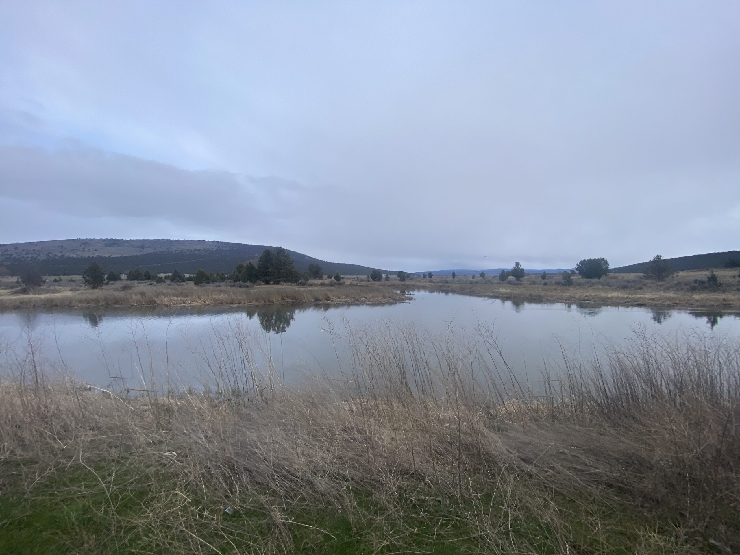 calm lake with reflections under cloudy sky in quiet rural landscape artist reference photo