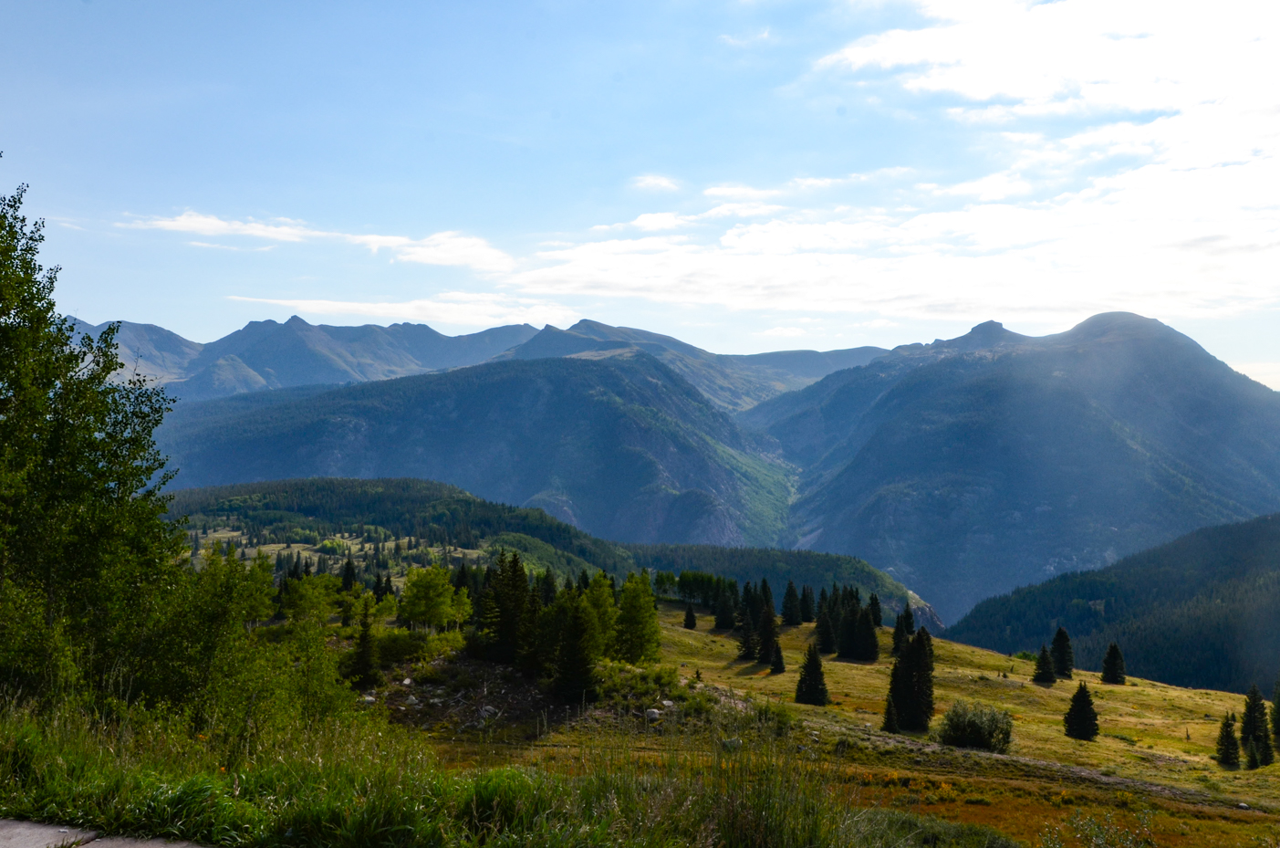 expansive-alpine-meadow-with-pine-forest-and-rugged-rocky-peaks-royalty-free-photo