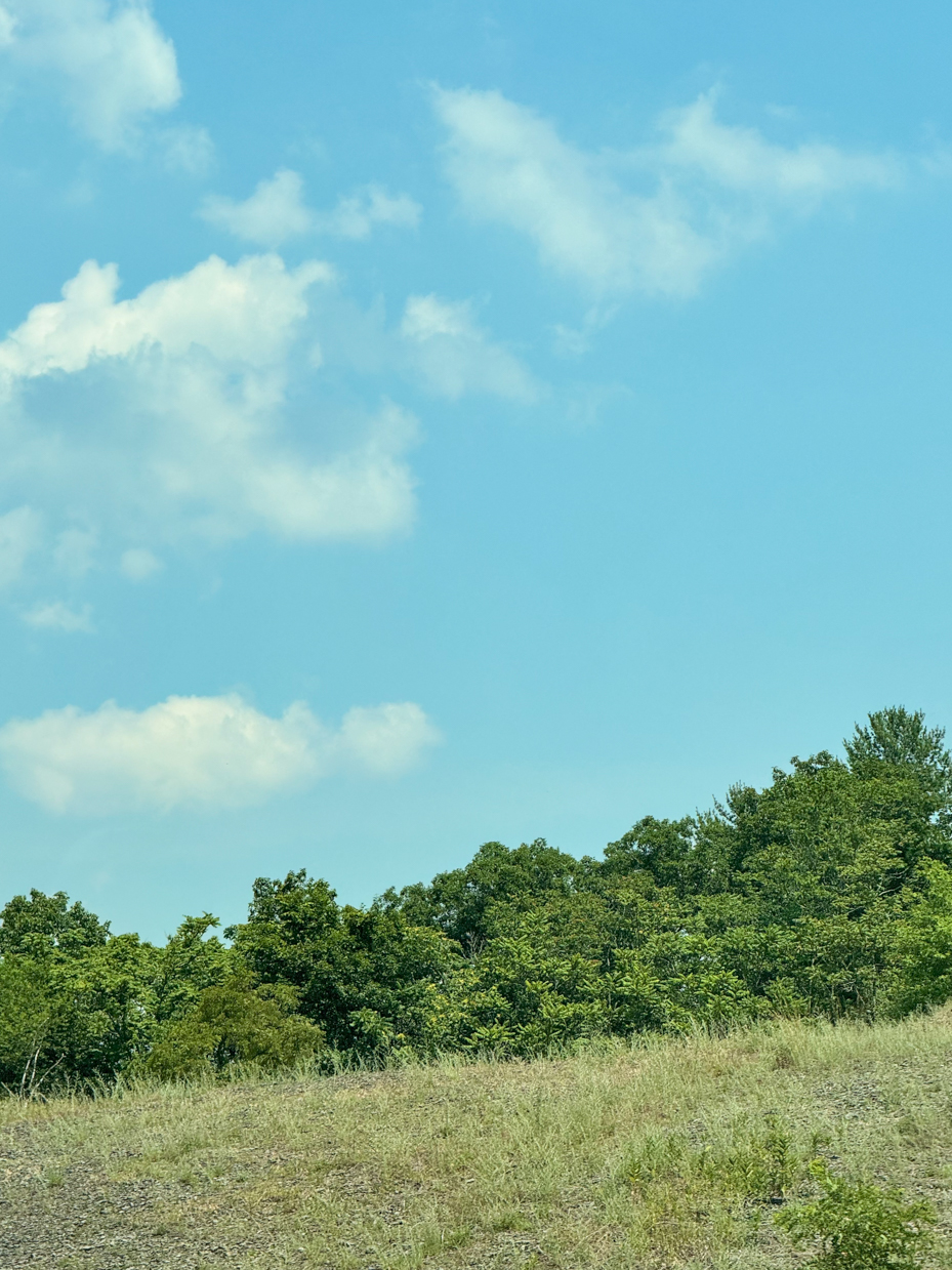 grassy-meadow-surrounded-by-lush-green-forest-trees-under-blue-cloudy-sky-scenic-countryside-royalty-free-photo