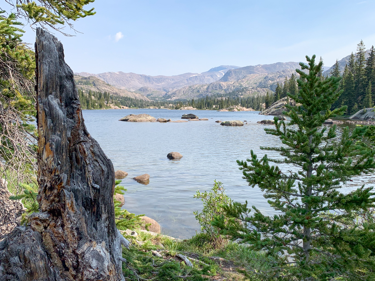 alpine-lake-with-weathered-tree-stump-serene-mountain-wilderness-artist-reference-photo