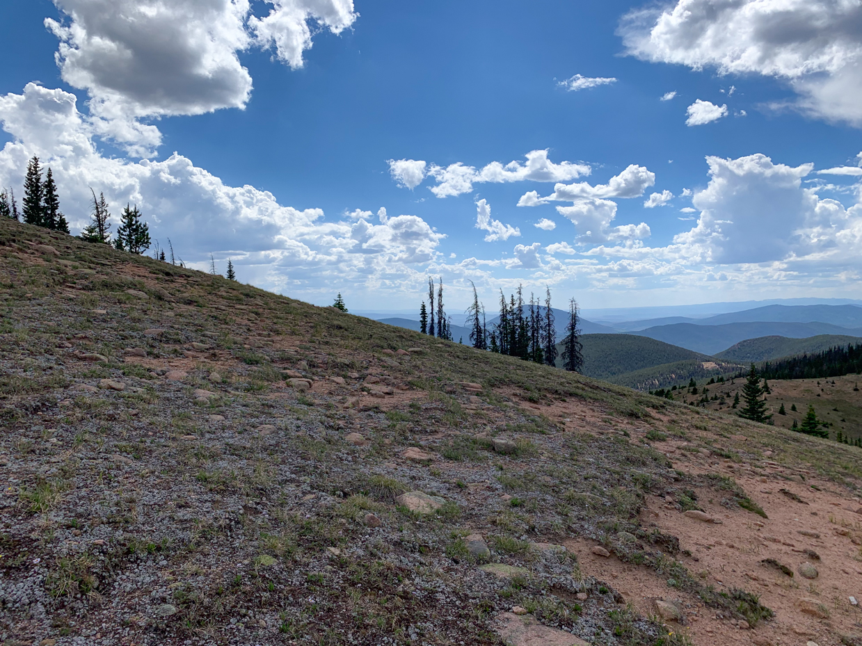 alpine-meadow-trail-with-mountain-vistas-western-landscape-artist-reference