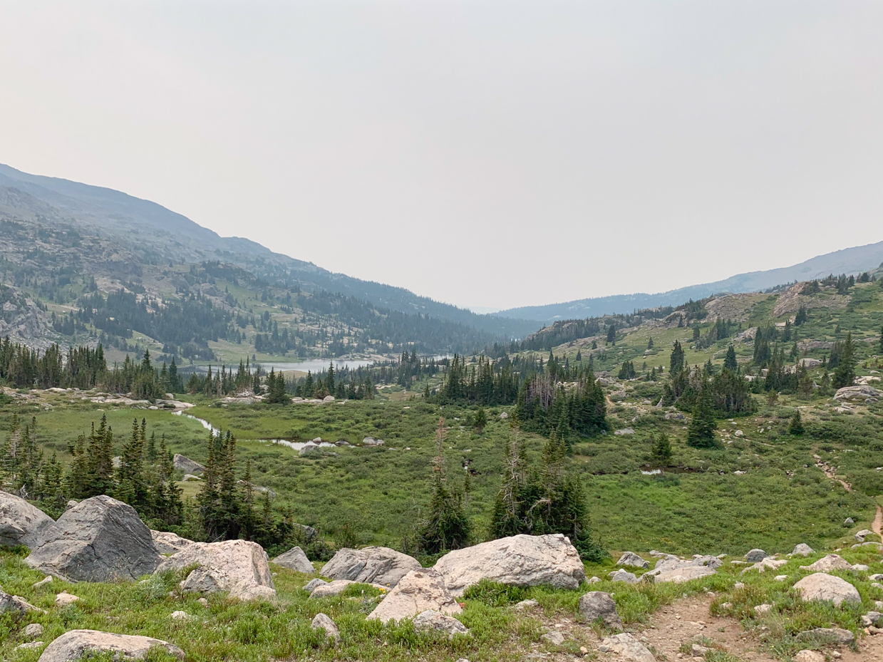 alpine-meadow-with-rocky-terrain-and-distant-lake-mountain-wilderness-landscape-artist-reference-photo