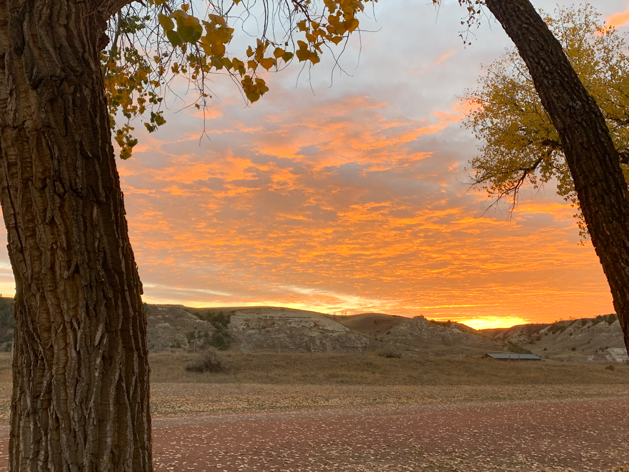 autumn-sunset-through-cottonwood-trees-badlands-ranch-landscape-artist-reference-photo