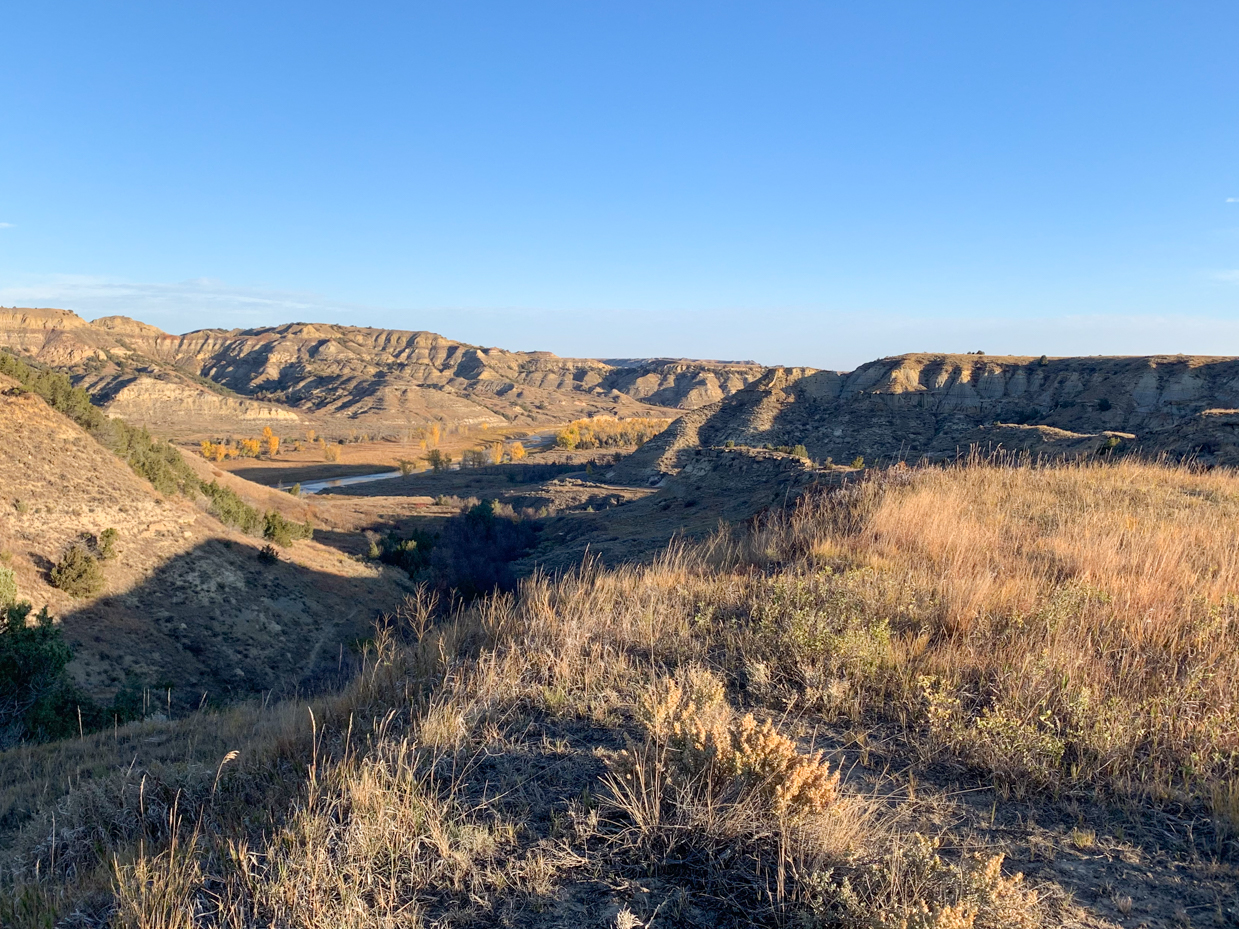 badlands-canyon-with-golden-prairie-foreground-western-landscape-artist-reference