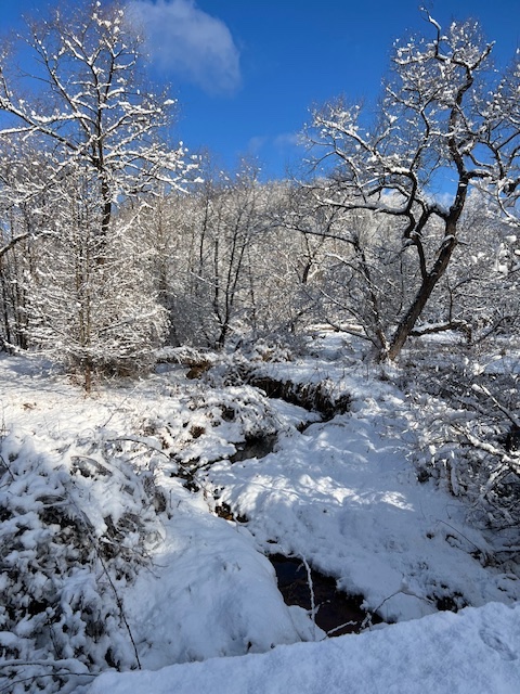 wintry-landscape-snow-stream