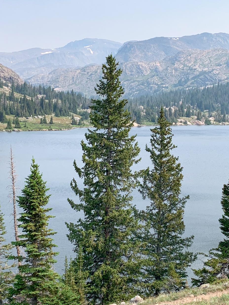 majestic-mountain-lake-with-towering-evergreens-scenic-alpine-wilderness-landscape-artist-reference-photo