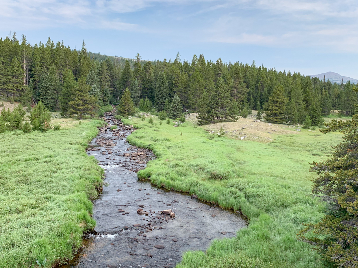 meandering-mountain-stream-in-alpine-meadow-rocky-mountain-wilderness-artist-reference-photo