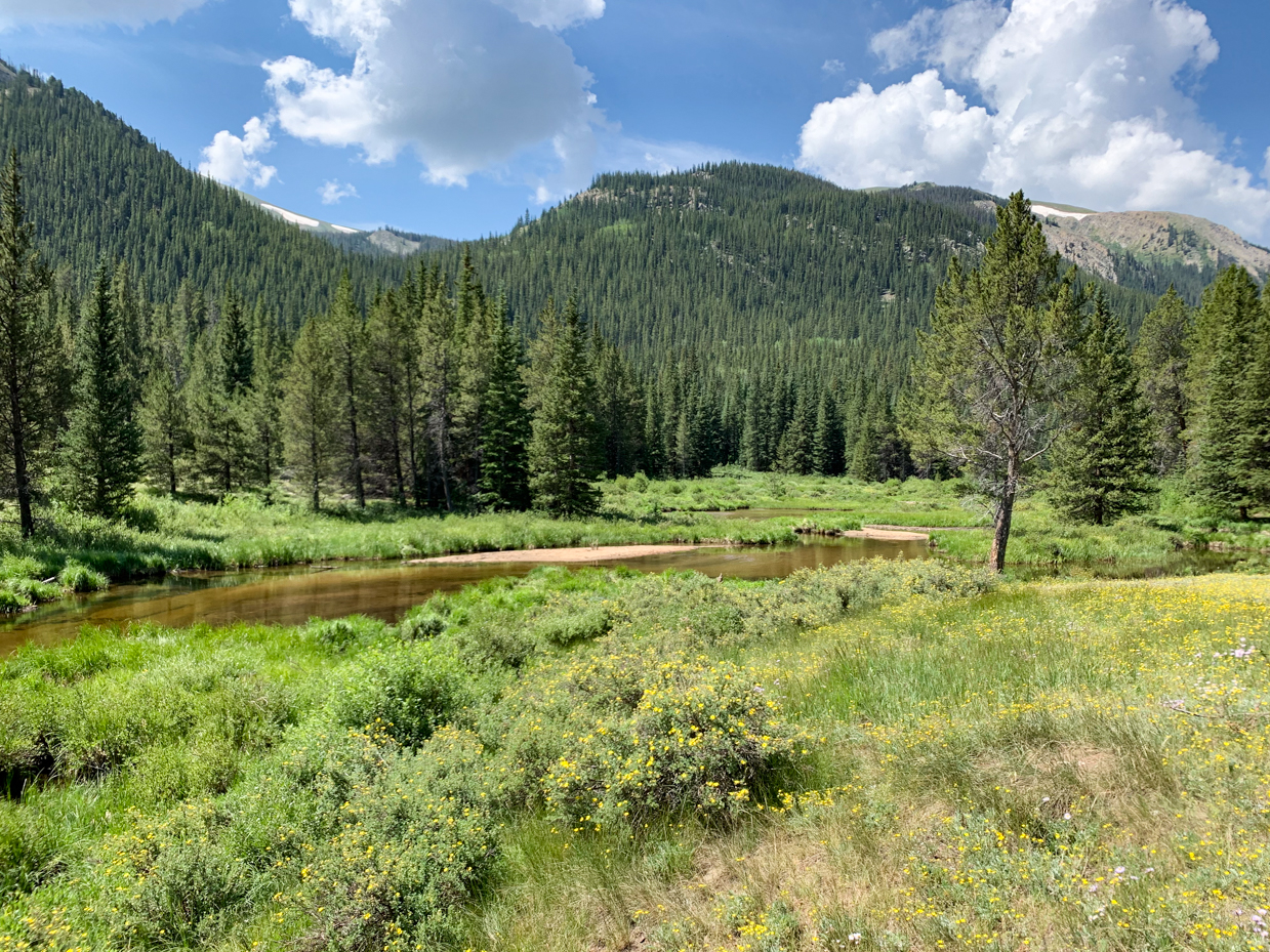 mountain-valley-with-lush-greenery-and-flowing-stream-under-a-blue-sky-scenic-wilderness-photography