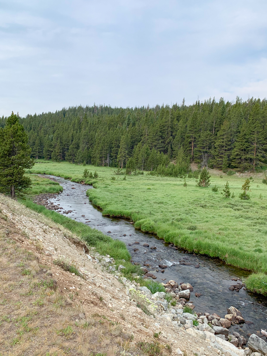 rocky-mountain-stream-with-eroded-bank-subalpine-meadow-and-conifer-forest-artist-reference-photo