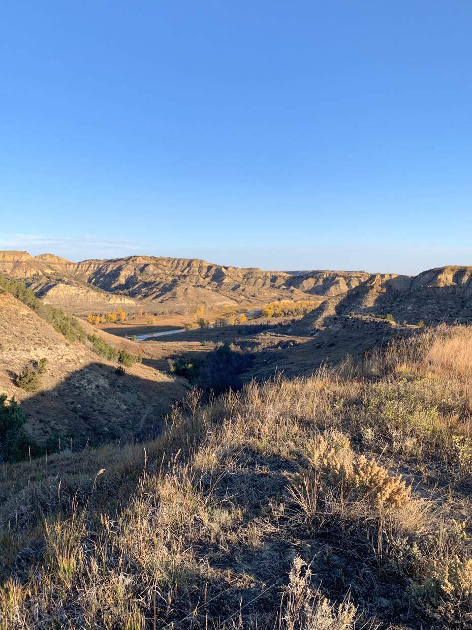 rugged-badlands-panorama-with-autumn-valley-western-landscape-artist-reference