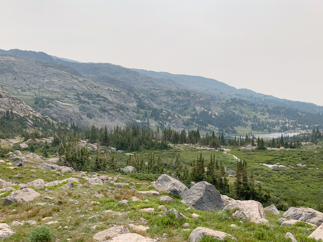 rugged-mountain-landscape-with-alpine-meadow-and-evergreen-forest-wilderness-terrain-artist-reference-photo