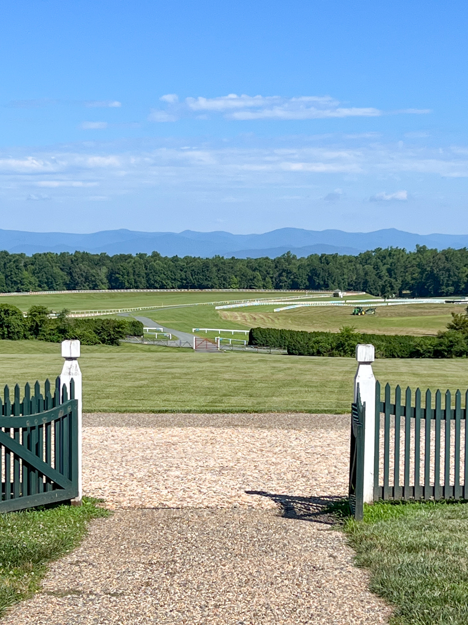 scenic-horse-racing-track-with-mountain-backdrop-rural-equestrian-landscape-artist-reference-photo