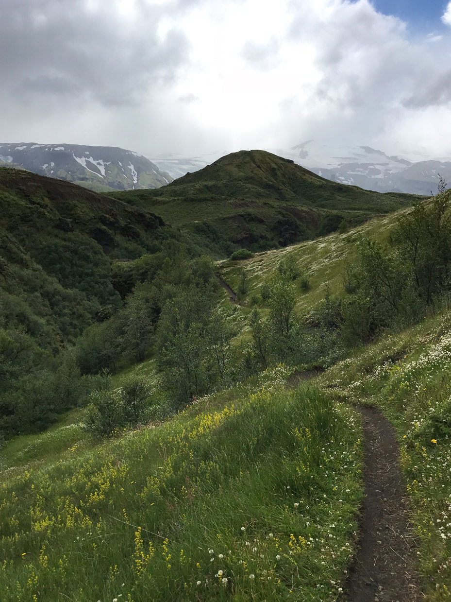 scenic-mountain-trail-through-verdant-hills-a-serene-nature-escape