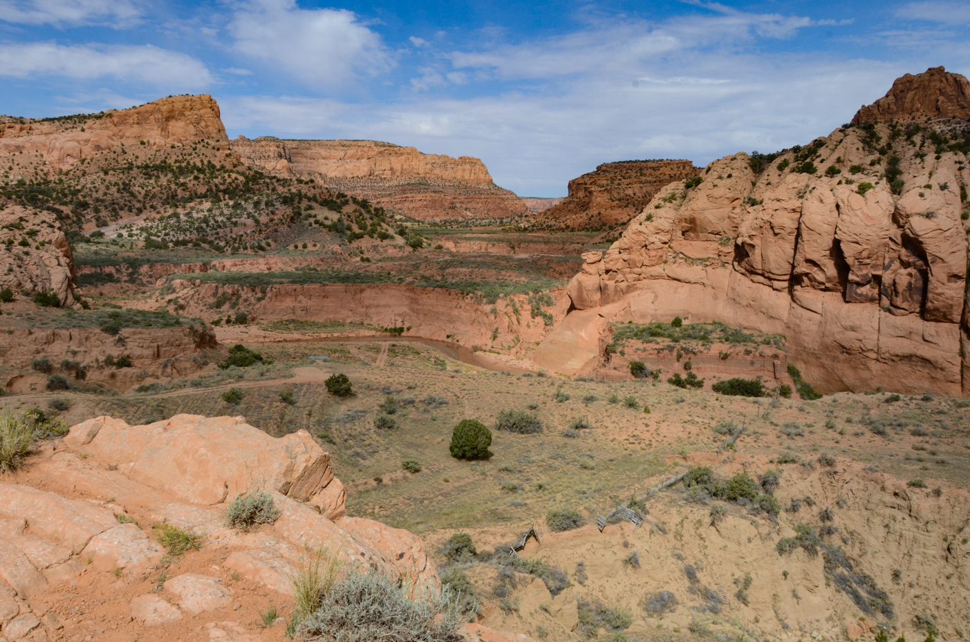 scenic-southwest-canyon-landscape-red-rock-formations-and-desert-vegetation-in-utah-national-park