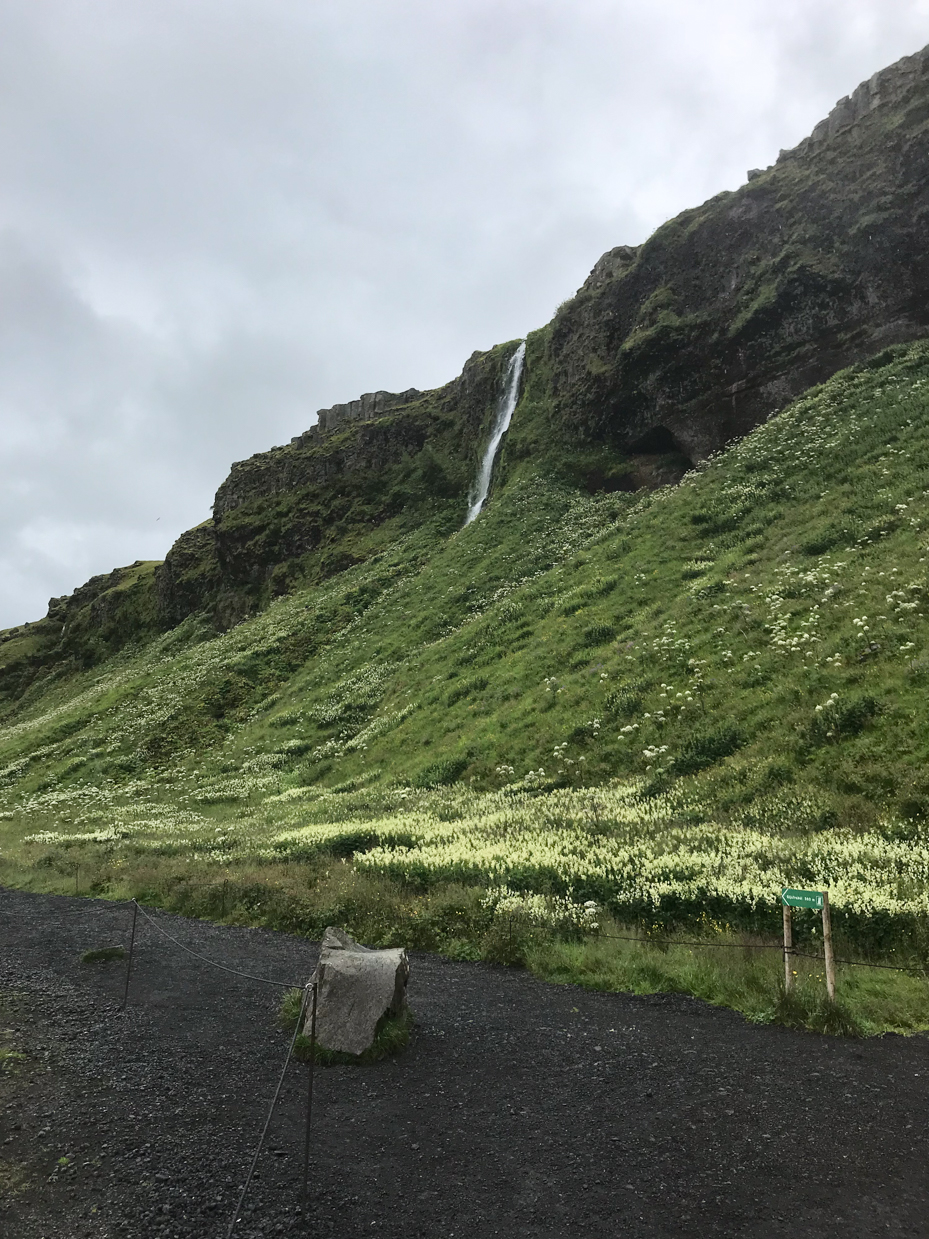 scenic-waterfall-cascading-down-a-lush-green-cliff-stunning-nature-landscape-photography