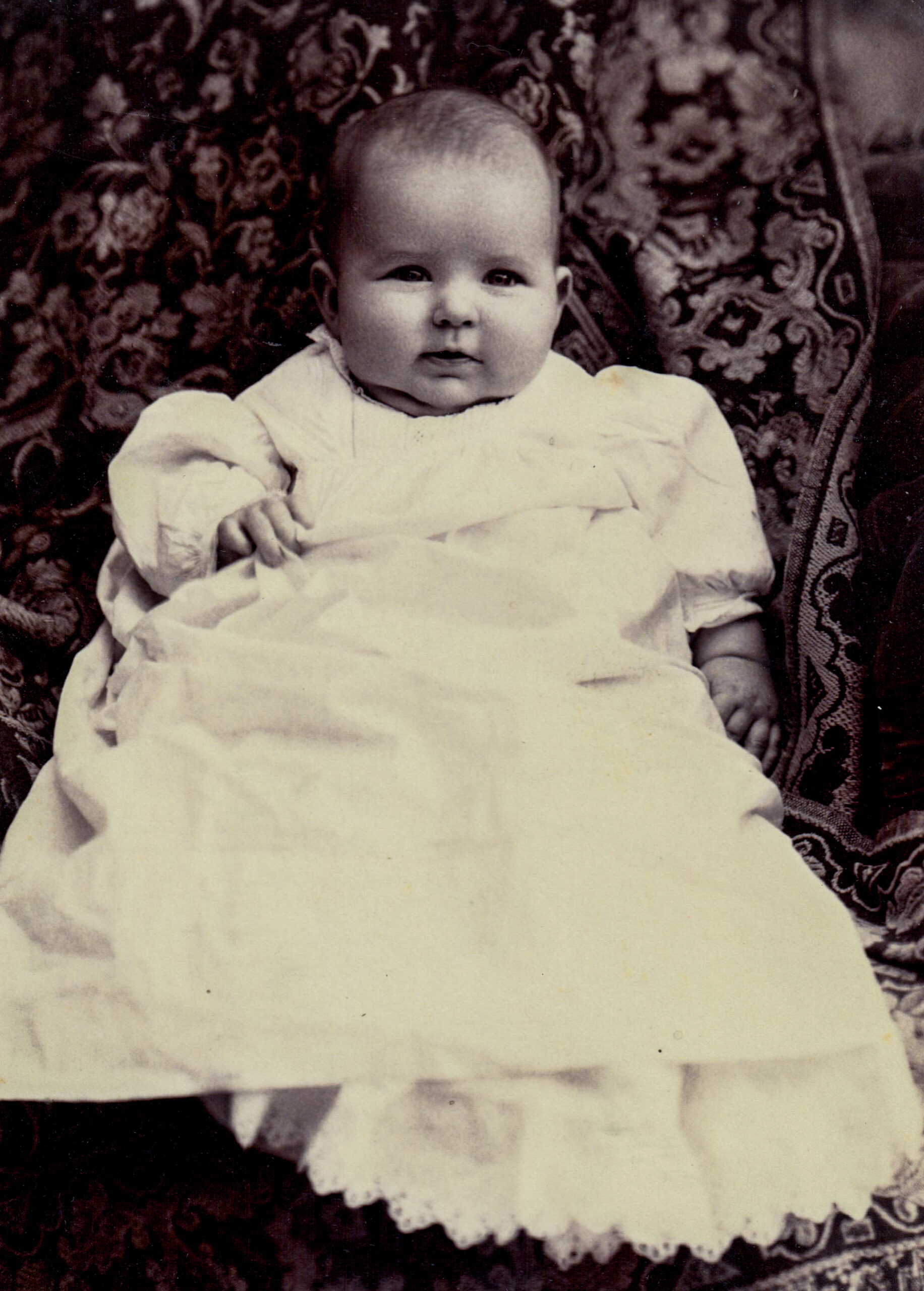 portrait of baby, chubby cheeks artist reference photo