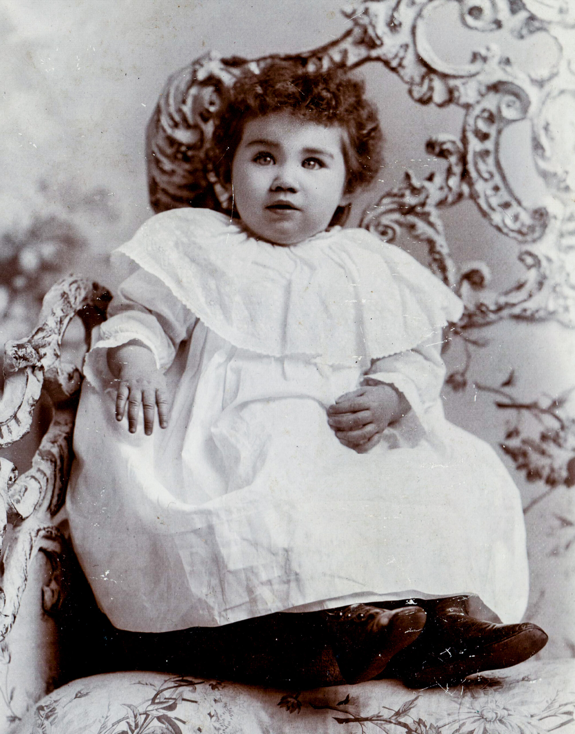 portrait of baby, frilly collar artist reference photo