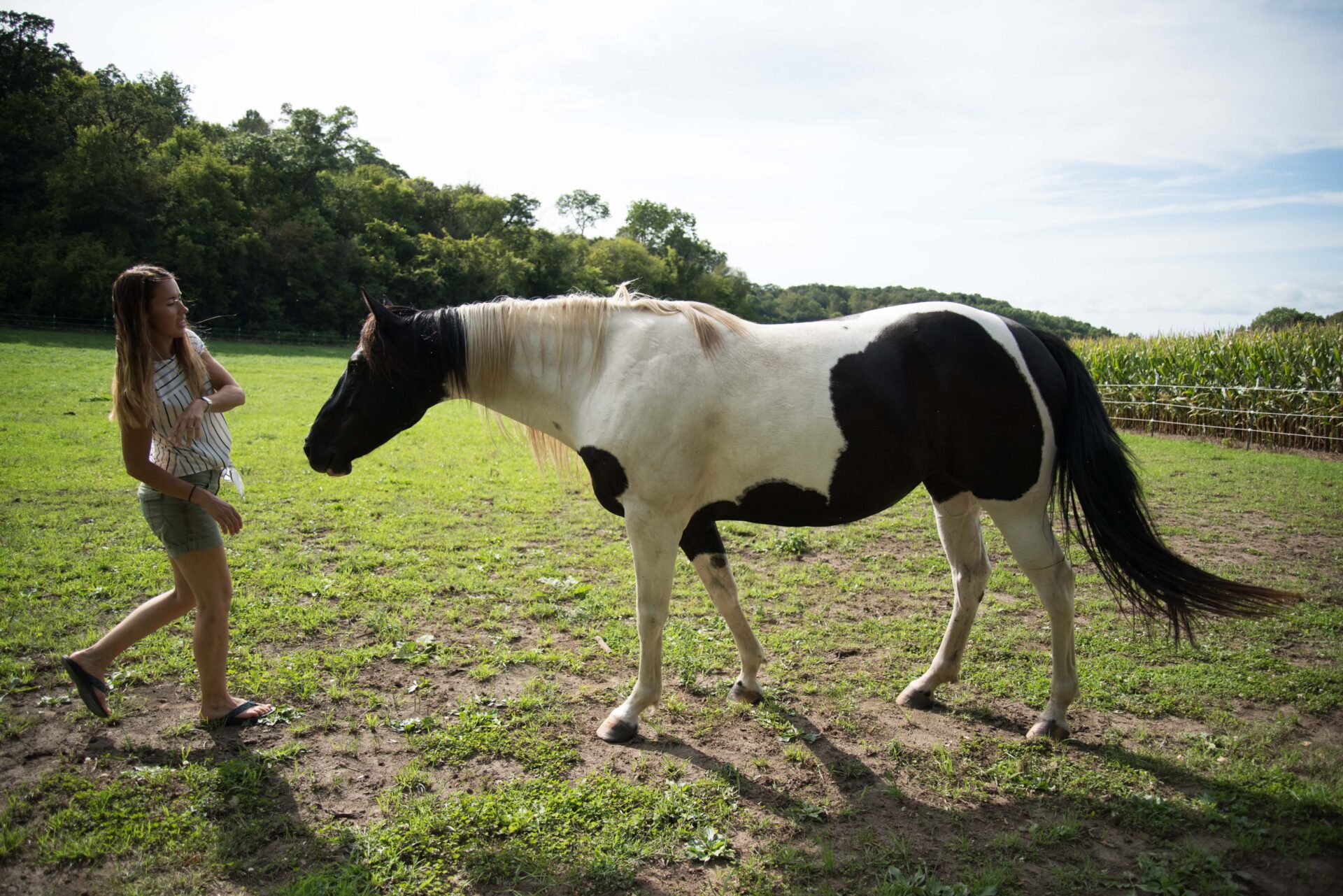 friendly-interaction-between-woman-and-black-and-white-horse-in-a-green-pasture