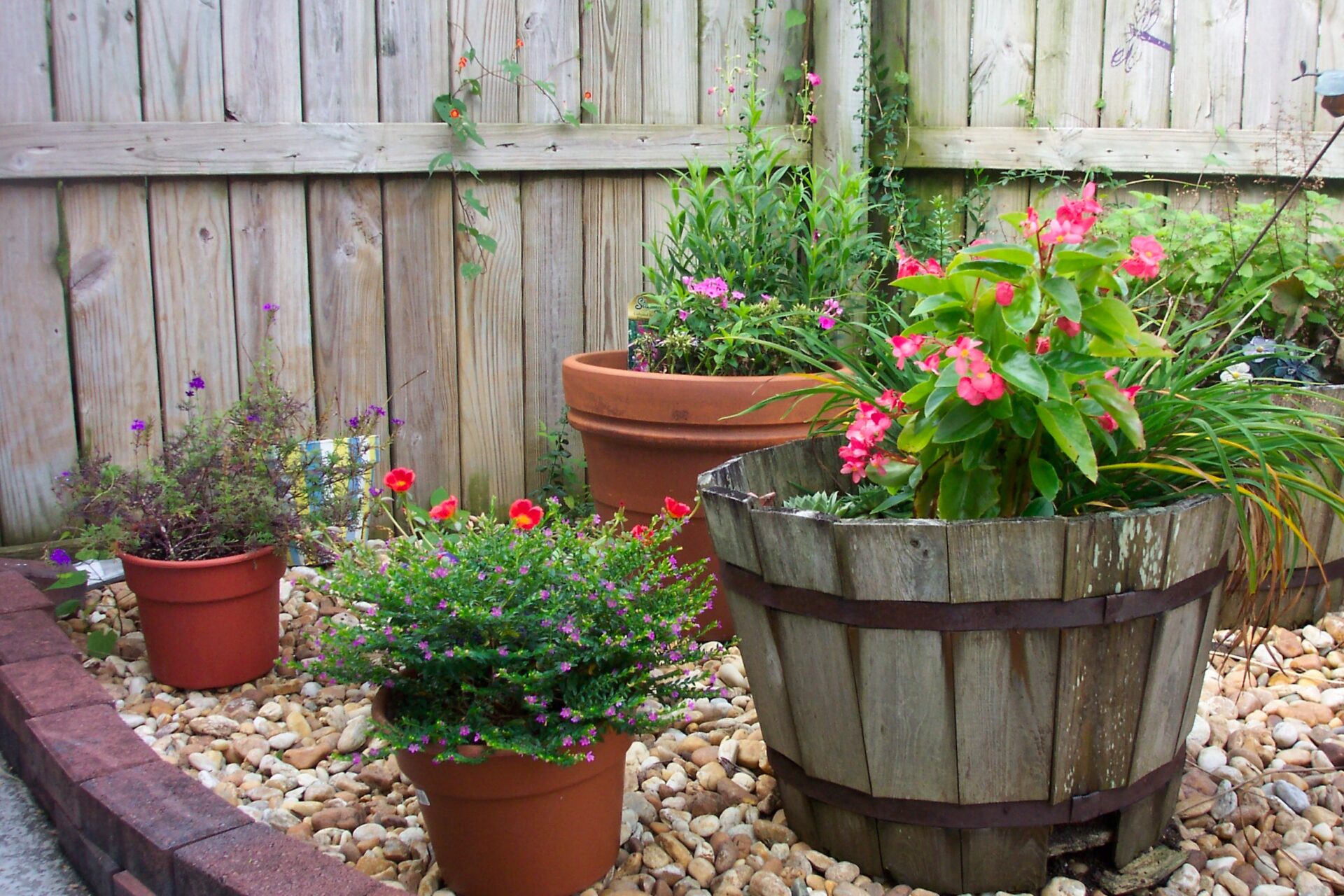 garden-corner-with-mixed-planters-terra-cotta-and-wooden-barrel