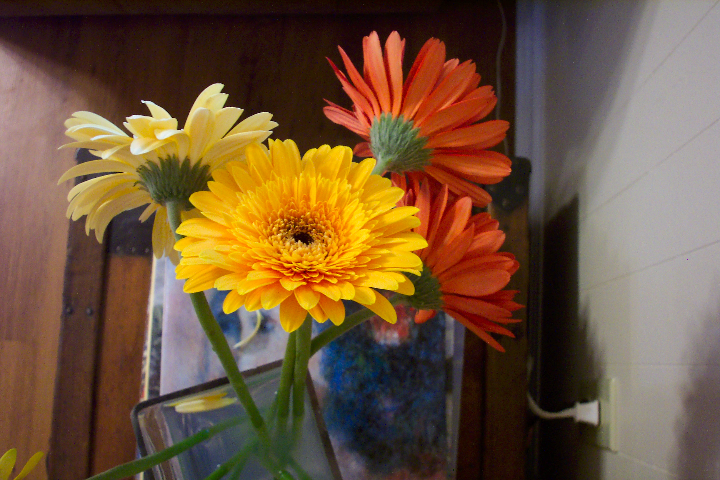 Gerbera Daisy Bouquet in Yellow and Orange – Bright Floral Arrangement Close-up artist reference photo