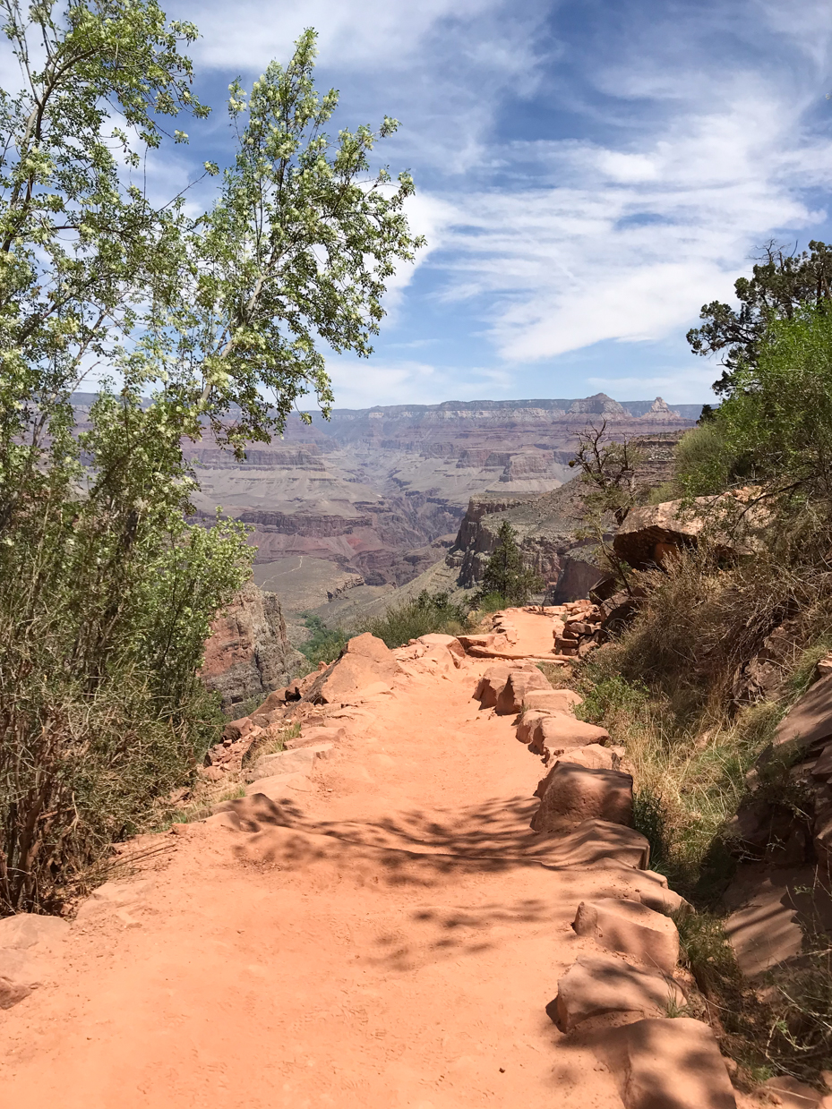 grand-canyon-hiking-trail-scenic-pathway