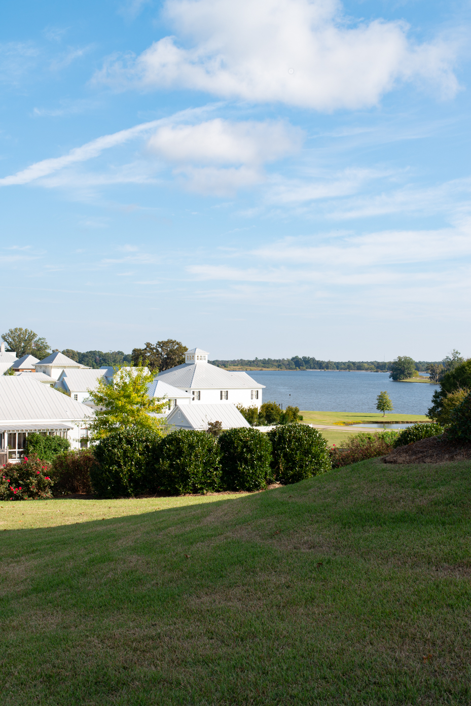 lakefront-landscape-with-white-buildings-and-greenery