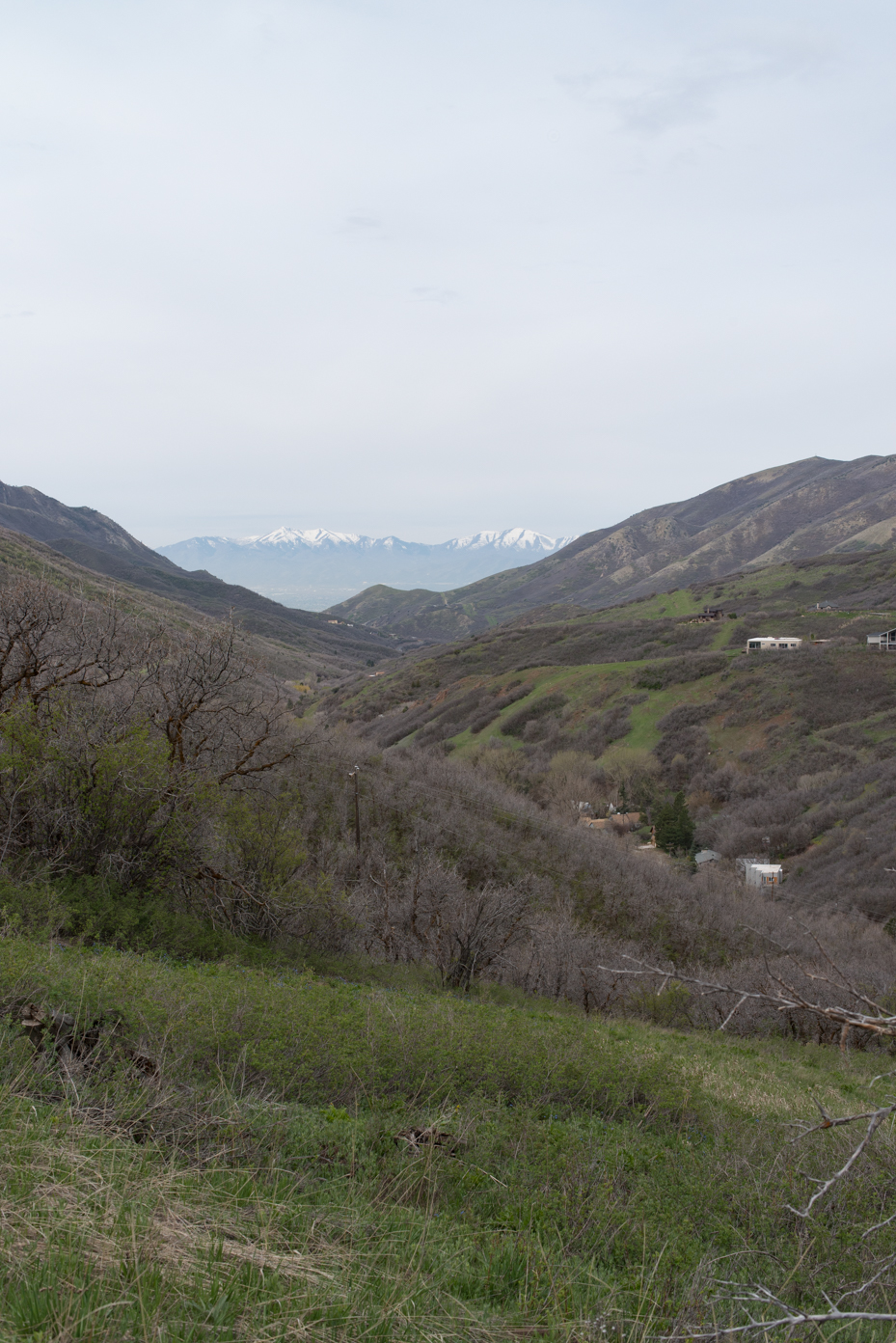 mountain-valley-landscape-with-snow-capped-peaks-and-rural-houses-spring-transition-with-bare-trees